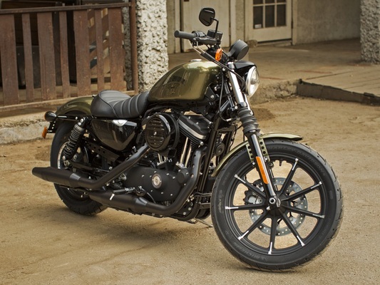 Фото мотоцикла Harley-Davidson 883 Iron